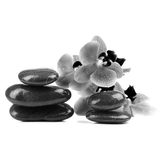 Öntapadó fotótapéta fekete-fehér masszázskövek orchideával