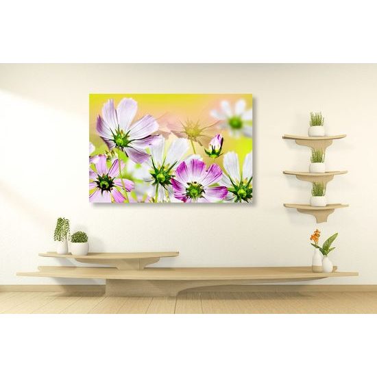 Kép gyönyörű kivirágzott virágok