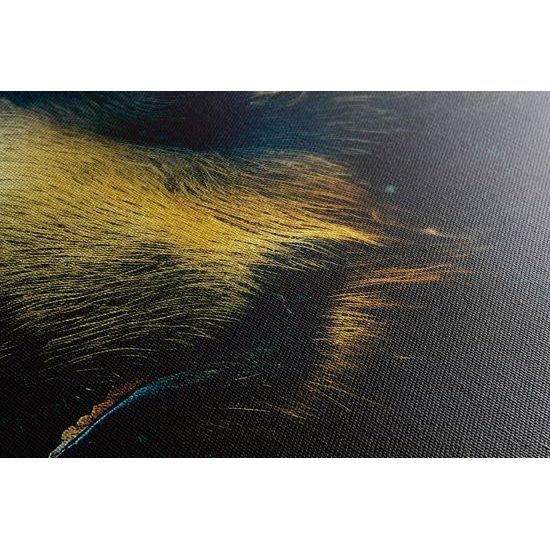 Kép kék-arany medve