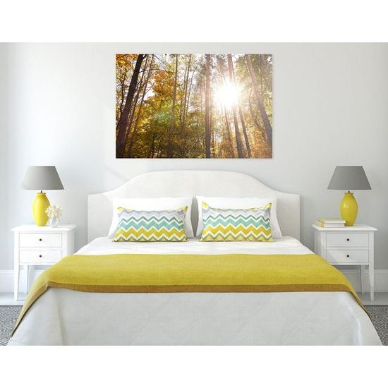 Kép nap a fák lombjai között