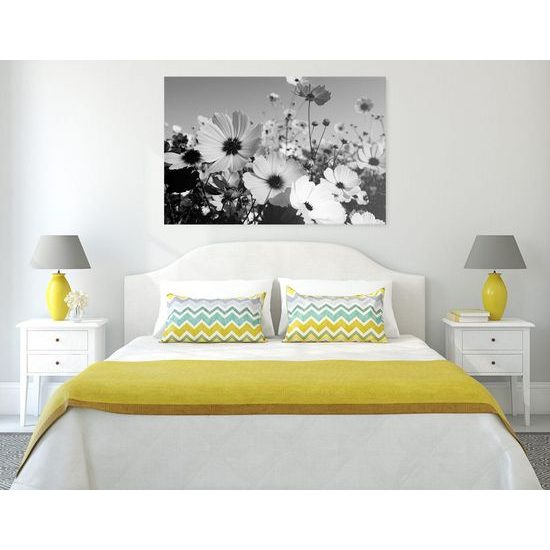 Kép kivirágzott rét fekete-fehér kivitelben