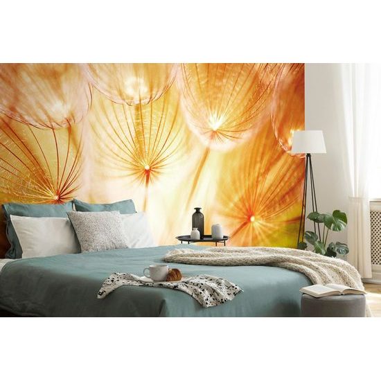 Érdekes öntapadó fotótapéta világos pitypang