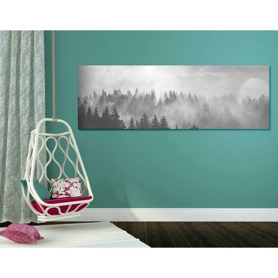 Kép reggeli napsugarak az erdő felett fekete-fehér kivitelben