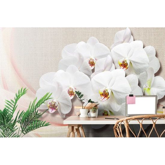 Tapéta egy fehér orchidea szépségét vászonra