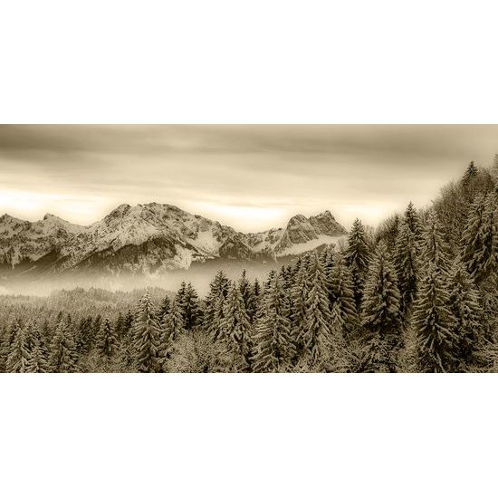 Kép megfagyott erdő szépia kivitelben