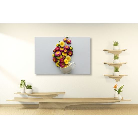 Kép sokszínű bájos virág