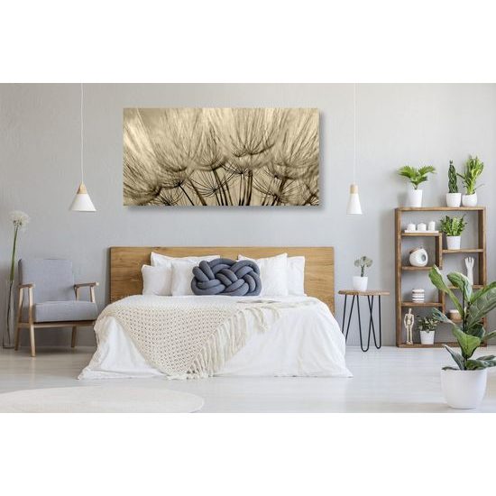 Kép pitypang pontos részletei szépia kivitelben