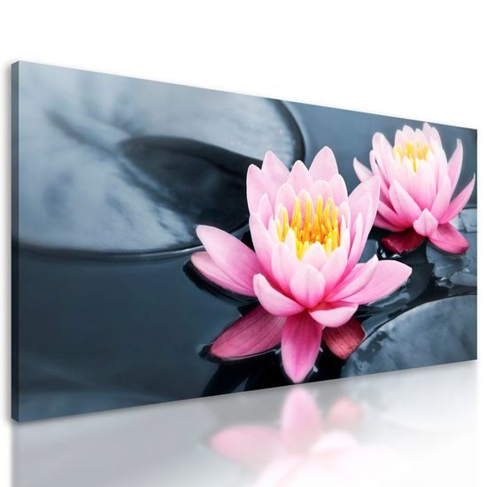 Kép tavirózsa a folyón