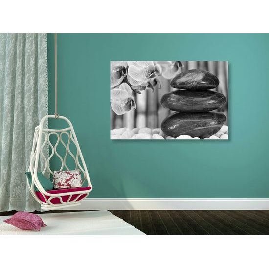 Kép bambusz Zen kert fekete-fehér kivitelben