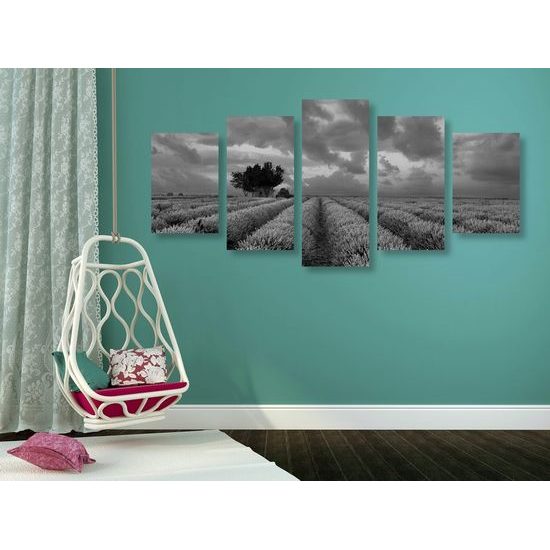 5 részes kép levendulákkal teli mező fekete-fehér kivitelben