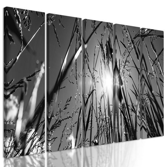5 részes kép művészi rét fekete-fehér kivitelben