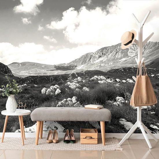 Öntapadó fotótapéta Falikép Montenegró vad természete fekete-fehér változatban