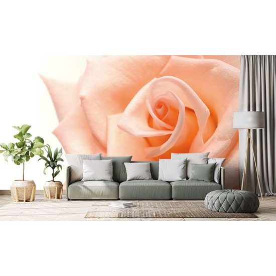 Öntapadó tapéta rózsa barack árnyalatban
