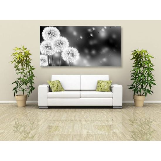 Kép bolyhos pitypangok fekete-fehér kivitelben