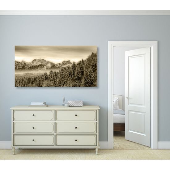 Kép megfagyott erdő szépia kivitelben