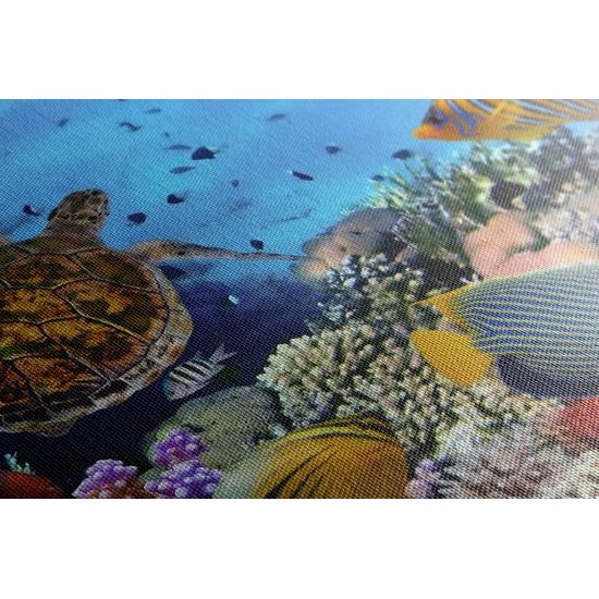 Kép tengerszint alatti világ