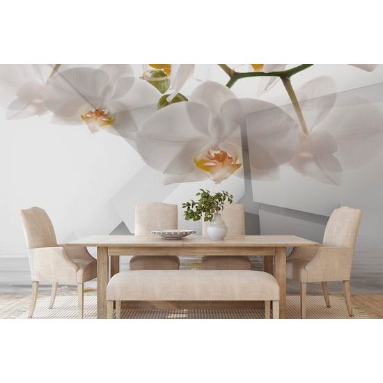 Öntapadó fotótapéta romantikus orchidea