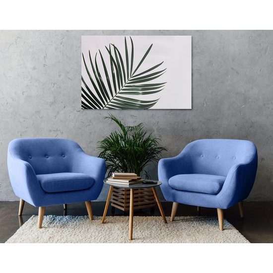 Kép minimalista pálmalevelek