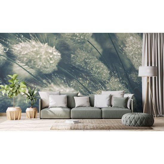 Eredeti öntapadó fotótapéta fű esőcseppekkel