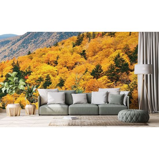 Gyönyörű természet öntapadó fotótapéta őszi színekben