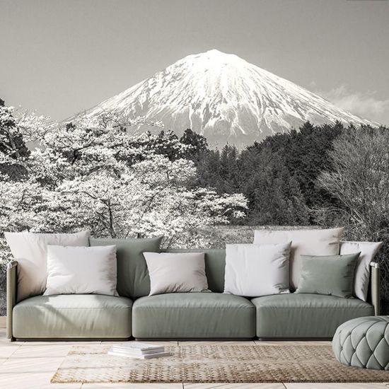 Fekete-fehér fotótapéta Fuji a japán természet ölelésében