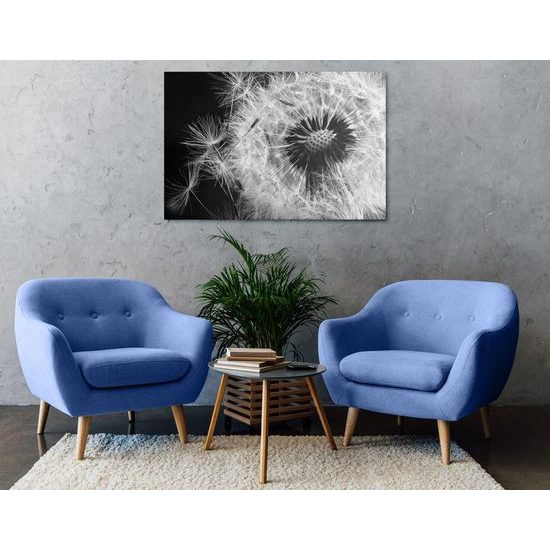 Kép pitypang a szélben fekete-fehér kivitelben