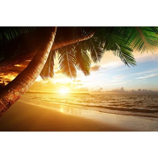 Fotótapéta napkelte a tengerparton a Karib-térségben