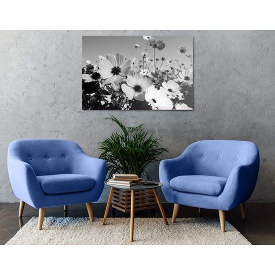 Kép kivirágzott rét fekete-fehér kivitelben