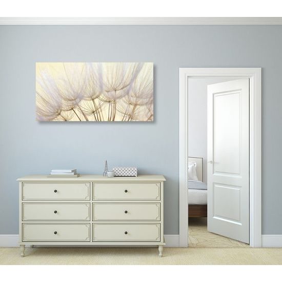 Kép pitypang pontos részletei