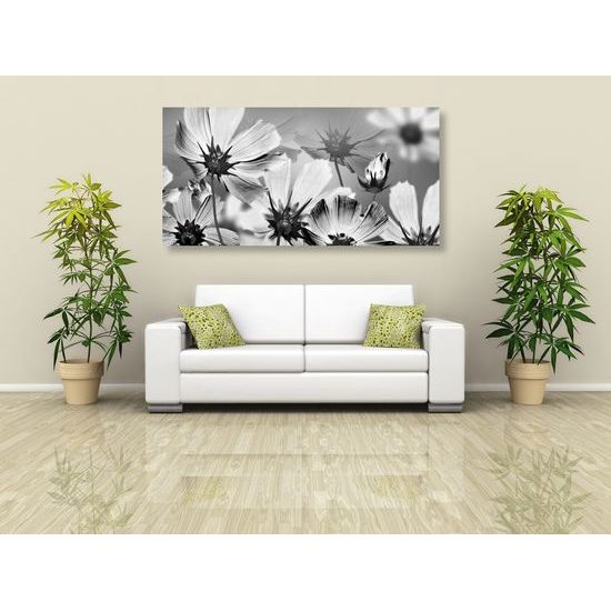 Kép kivirágzott virágokkal teli kert fekete-fehér kivitelben