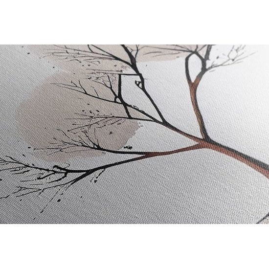 Kép levelek nélküli minimalista fa