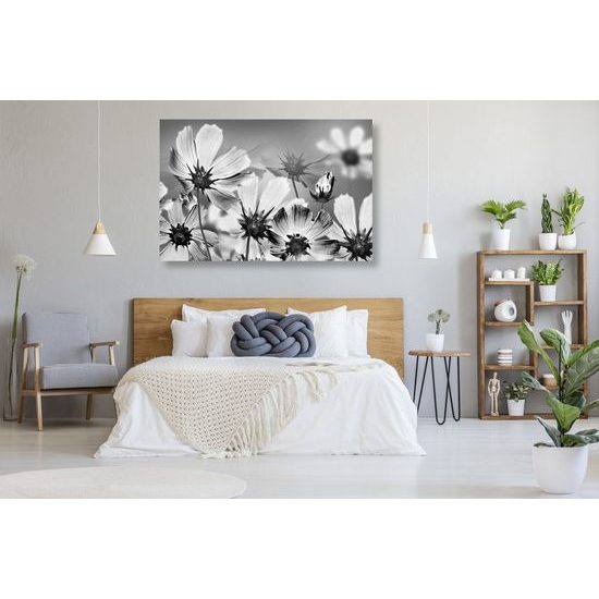 Kép nyári virágok fekete-fehér kivitelben
