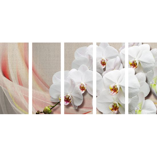 5 részes kép csodálatos orchidea