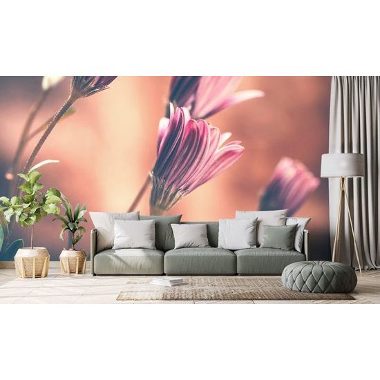 Öntapadó fotótapéta elbűvölő virágok