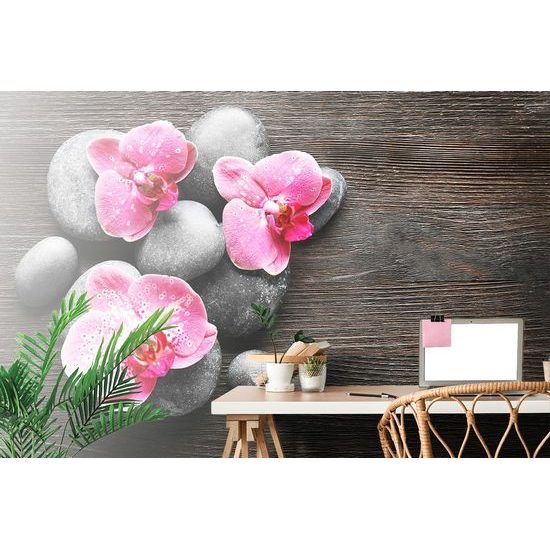 Öntapadó fotótapéta rózsaszín orchidea virágok kövekkel