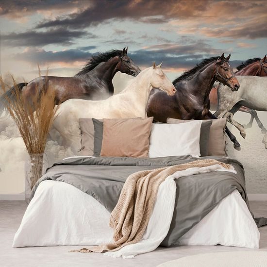 Vágtató lovak öntapadó tapéta