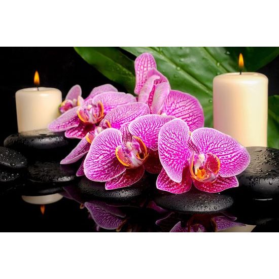 Tapéta összetétele orchideák gyertyákkal