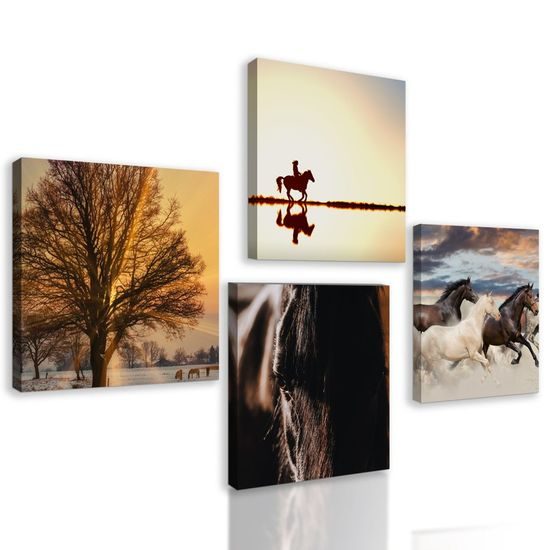 Képszett vágtató lovak