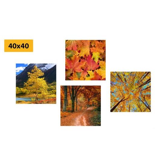 Képszett gyönyörű őszi természet