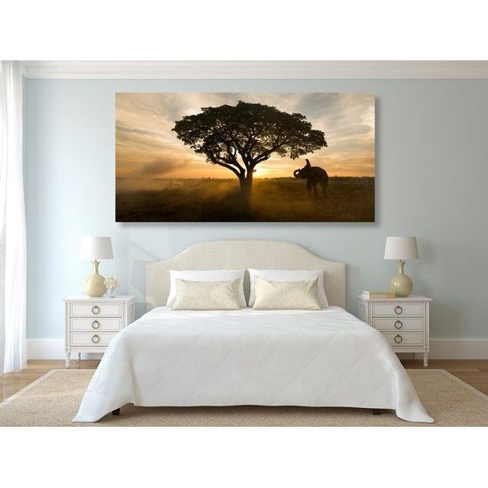 Kép elefánt az ébredező tájban