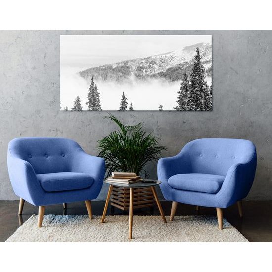 Kép friss hóval borított fekete-fehér fák