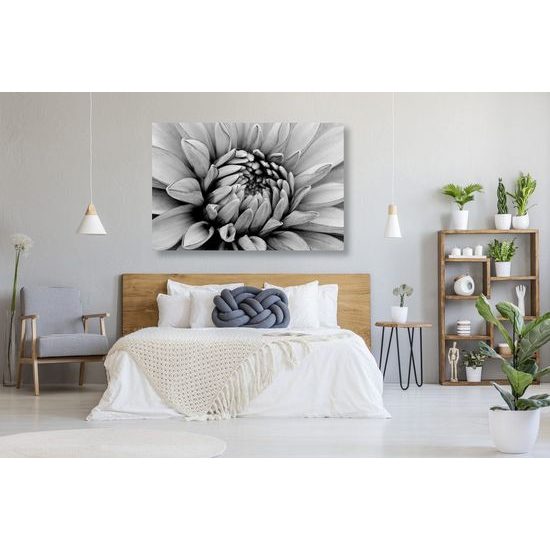 Kép dália virágának tökéletes részlete fekete-fehér kivitelben