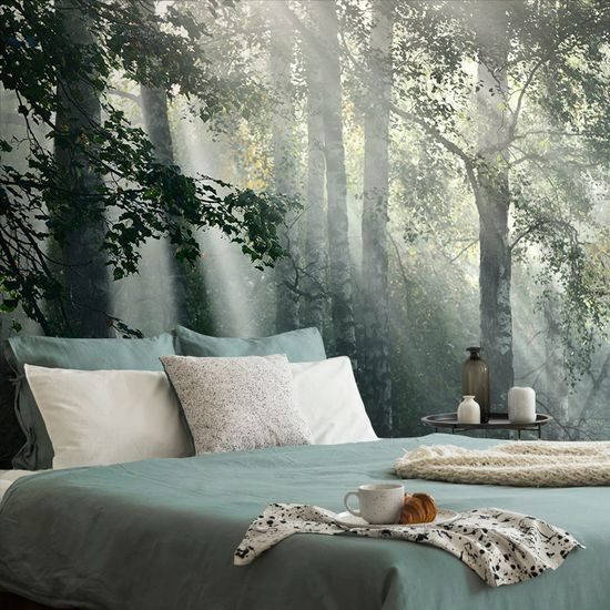 Öntapadó fotótapéta napsugarak az erdőben