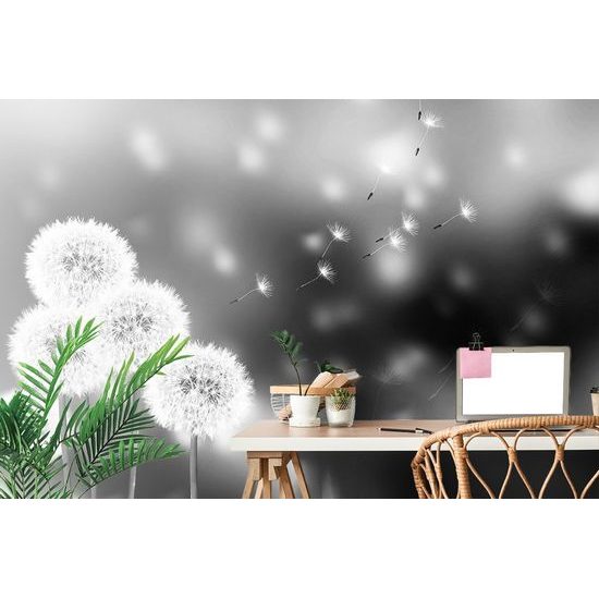 Öntapadó tapéta fekete-fehér bolyhos pitypang sapka