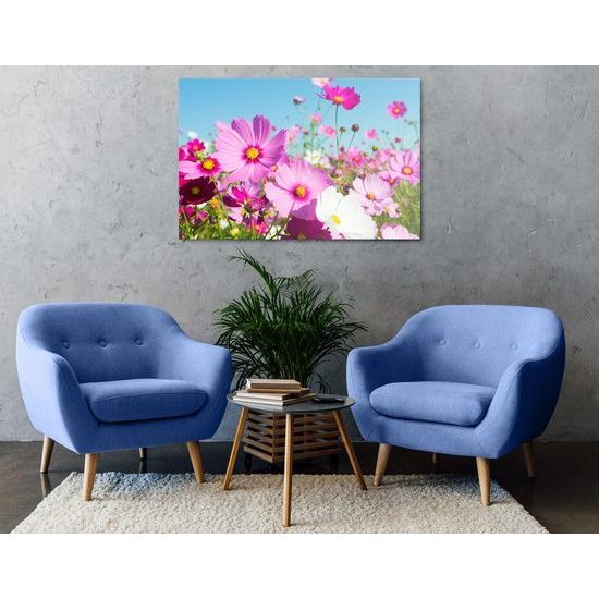 Kép kivirágzott rét