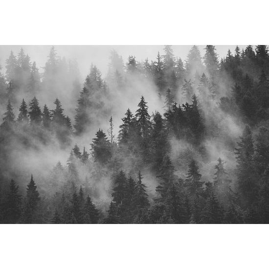 Kép fekete-fehér hegy a reggeli ködben