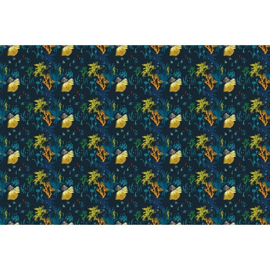 Tapéta gyönyörű tengeri világ sötét változatban