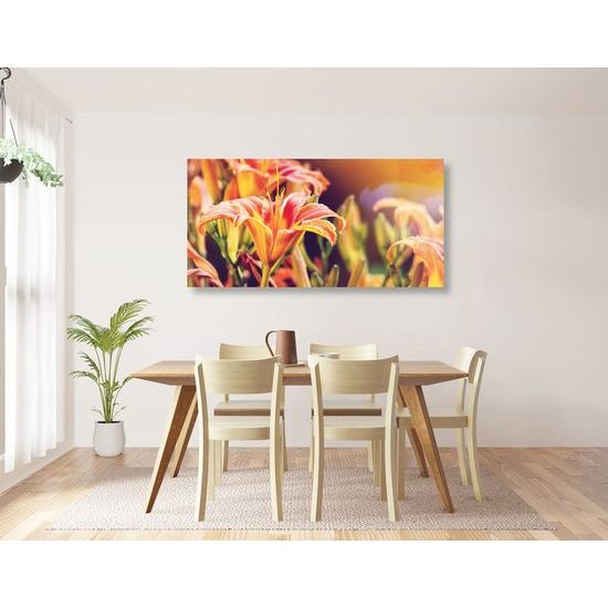 Kép lágy liliom a napsütésben