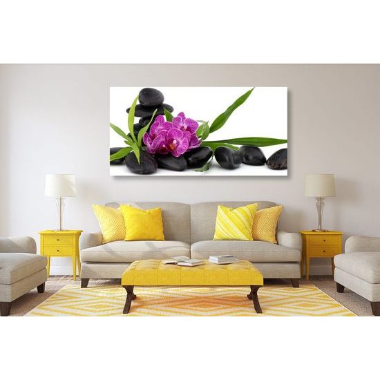 Kép orchidea gyönyörű virága SPA csendéletben