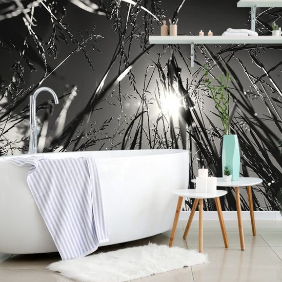 Öntapadó fotótapéta fekete-fehér kilátás a napra a fűből